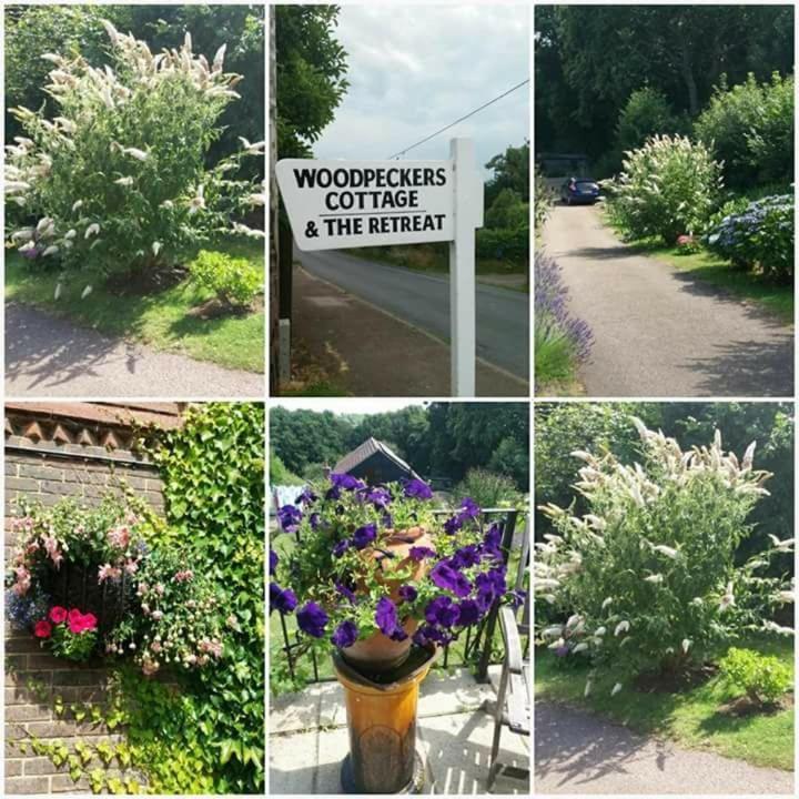 Woodpeckers Cottage B&B Pett Kültér fotó